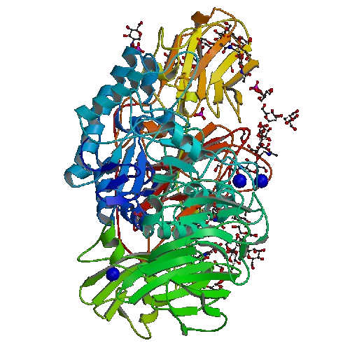 ملف:Beta-galactosidase (1tg7).png
