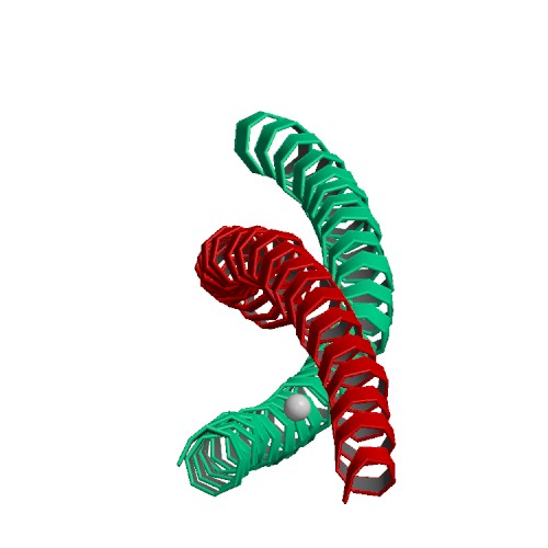 ملف:PBB Protein MYH7 image.jpg