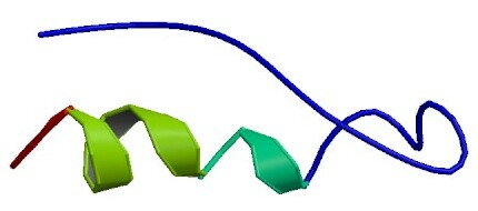 ملف:PBB Protein PYY image.jpg