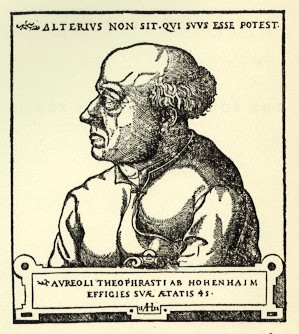 Hirschvogel Paracelsus.jpg