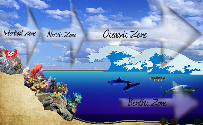 ملف:Ocean Zones.jpg