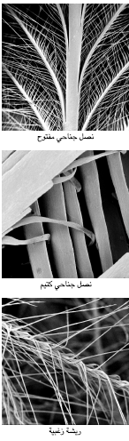 SCI2003b19N10 H05 0083.gif