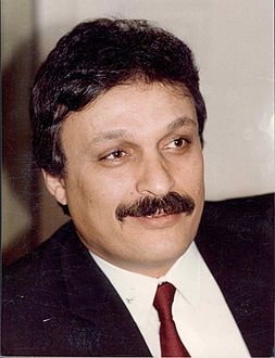 محمد وفيق.jpg