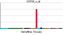 ملف:PBB GE CALCA 210728 s at tn.png