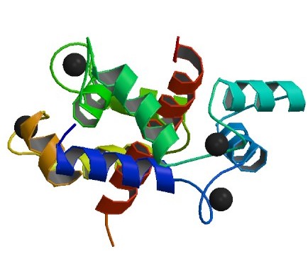 ملف:PBB Protein RYR1 image.jpg