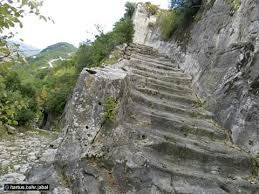 53932197 1762659890501235 2951004280267472896 n.jpg