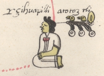 ملف:Généalogie des seigneurs de Tenochtitlan - fragment - Atotoztli.jpg