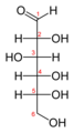 The Fischer projection of the chain form of D-glucose