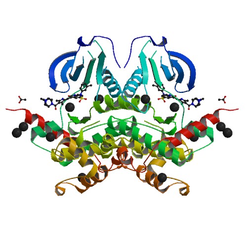 ملف:PBB Protein STK10 image.jpg