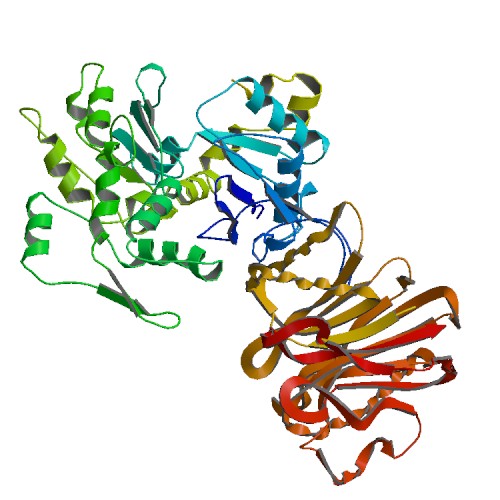 ملف:PBB Protein ACTA1 image.jpg