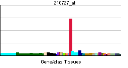 ملف:PBB GE CALCA 210727 at tn.png