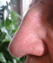 Human-nose.jpg