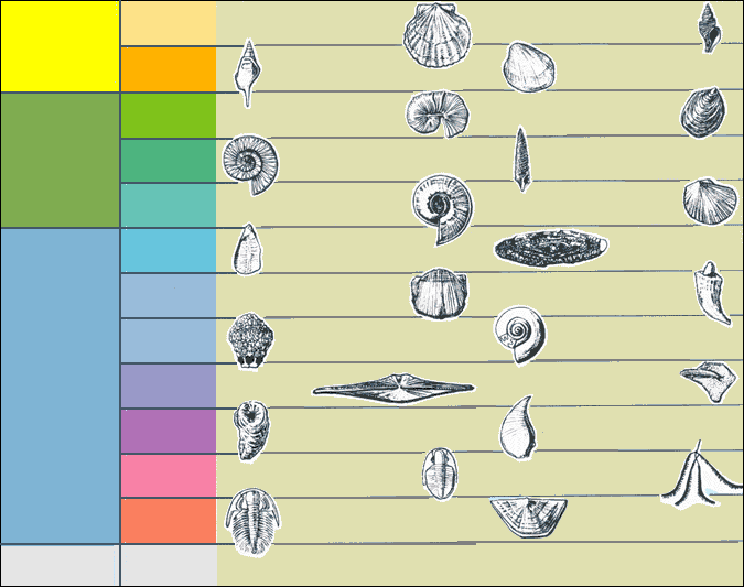ملف:Index fossils blank 01.png
