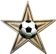 FootballBarnstar.png