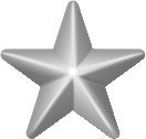 Award-star-silver-3d.png