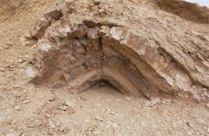 كهف وادي سنور.jpg