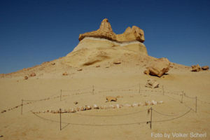 Whale skeleton in Wadi Al-Hitan