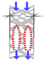 ملف:Euplectella 01.png