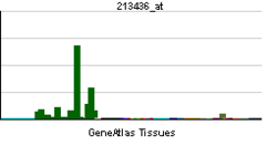 PBB GE CNR1 213436 at tn.png
