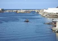 بحيرة إدكو.jpg