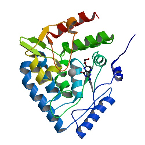 ملف:PBB Protein TPH1 image.jpg