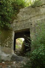 54458146 1762659913834566 2829915154894815232 n.jpg