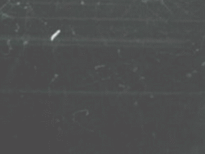 ملف:Cloud chamber ani bionerd.gif