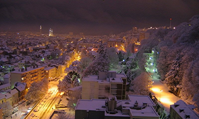 ملف:Neige LeHavre neige 28 12 2006 1.jpg