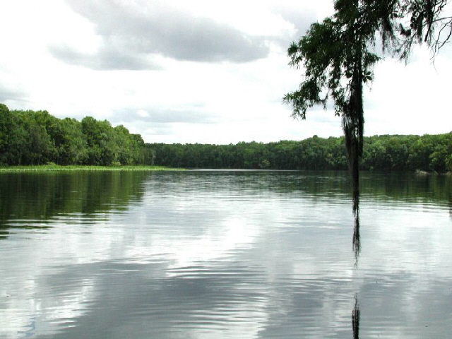 ملف:Suwannee River.jpg