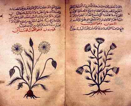 ملف:Arabic herbal medicine guidebook.jpg