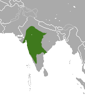 Southern Plains Gray Langur area.png