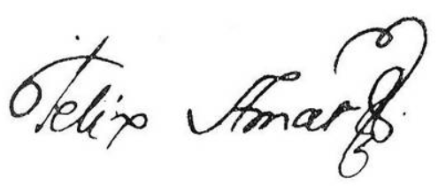 ملف:Firma de Félix Amat de Palau y Pont.png