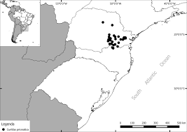 Curitiba prismatica distribution.png