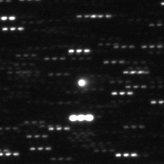 With a fuzzy and elongated coma, imaged by the Canada–France–Hawaii Telescope