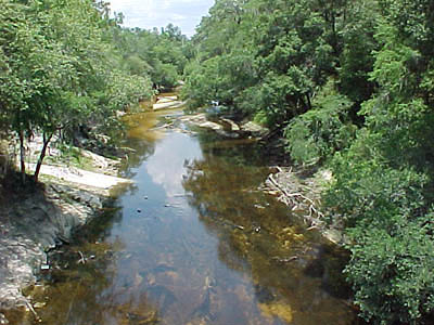 ملف:Alapaha River.jpg