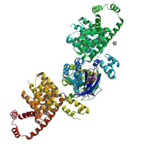 ملف:1z2c asr r 500.jpeg