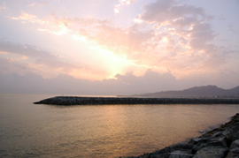 View over dibba al hisn.jpg