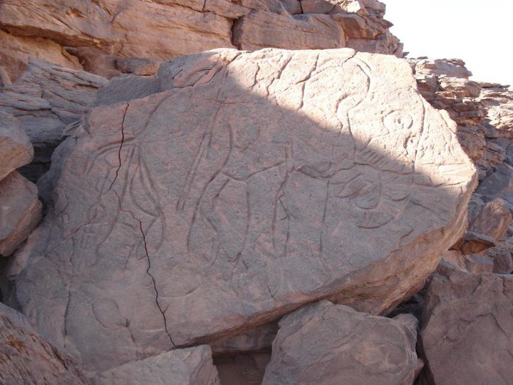 ملف:نحت فيل بالقرب من حقل الفيل بغرب ليبيا.jpg