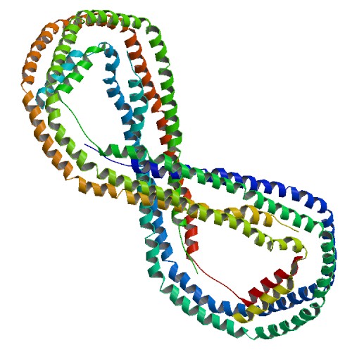 ملف:PBB Protein APOA1 image.jpg