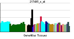 ملف:PBB GE CALCA 217495 x at tn.png