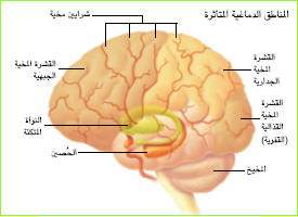 SCI2003b19N10 H03 002611.jpg