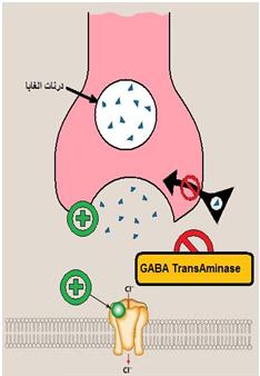 آلية عمل مضادات الصرع