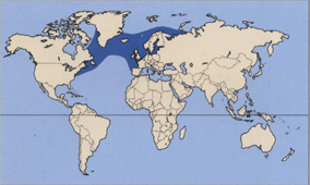 Поширення сьомги.gif