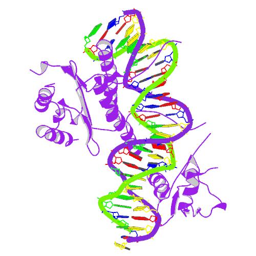 ملف:PBB Protein SRF image.jpg