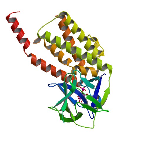 ملف:PBB Protein ITPR1 image.jpg