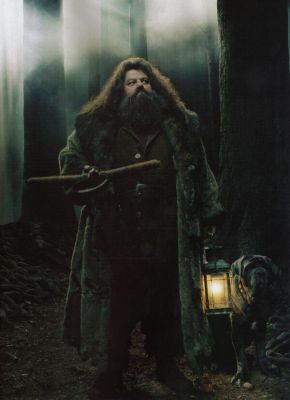 ملف:Hagrid3.jpg