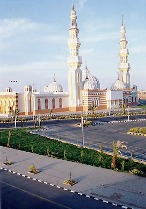 ملف:Arar-city.jpg