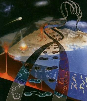 ملف:L'origine de l'évolution.jpg