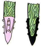 الأوتاد المعدنية.jpg