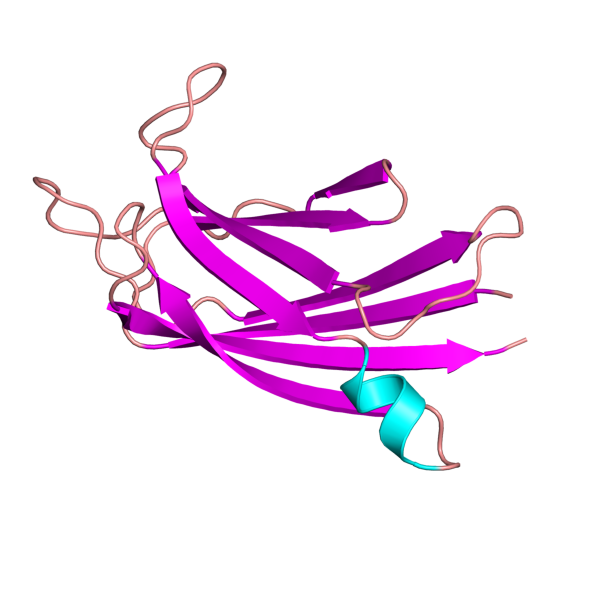 ملف:4ihb pdb.png